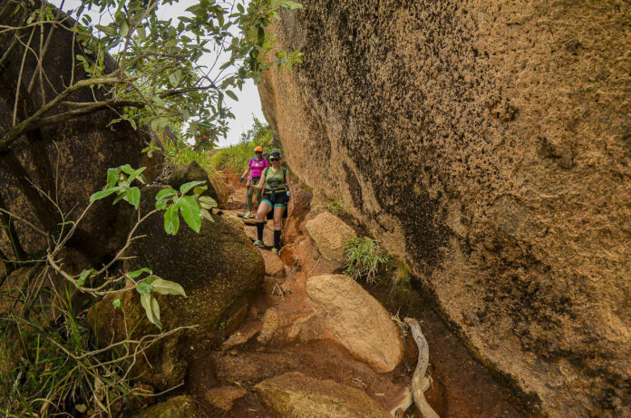 433317_1093946_treinao_rmg_trailgirls_1390